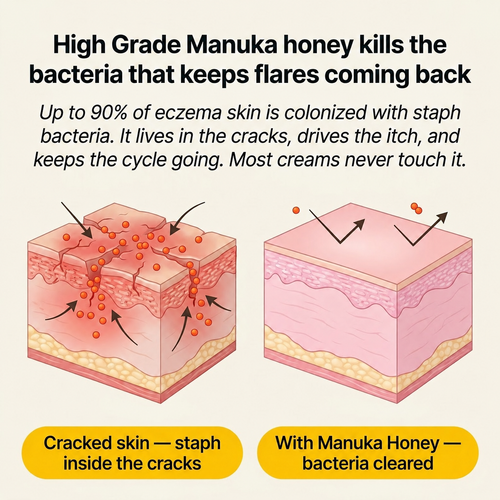 Velune™ Manuka Honey Cream